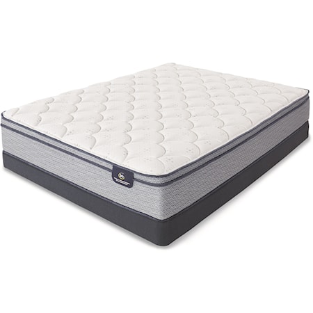 Queen Pocketed Coil Lo-Pro Mattress Set