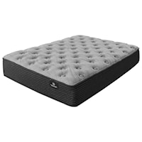 Queen Plush Pocketed Coil Mattress and Motion Perfect IV Adjustable Base