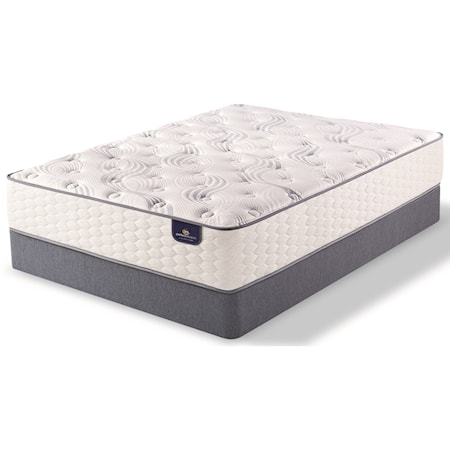 Cal King Plush Pocketed Coil Mattress Set