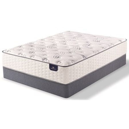 Twin XL Plush Pocketed Coil Mattress Set