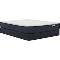 Queen Plush Mattress