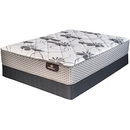 Queen Luxury Firm Mattress Set