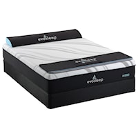 Queen 10" Firm Hybrid Mattress and 9" Orthopedic Foundation