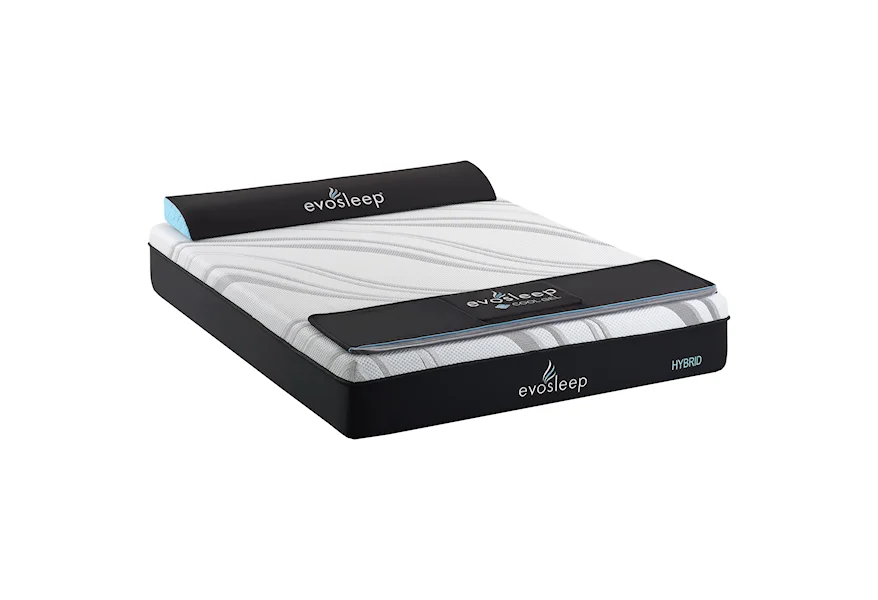 2505 Firm Hybrid Twin XL 10" Firm Hybrid Mattress by Sherwood Bedding at Prime Brothers Furniture