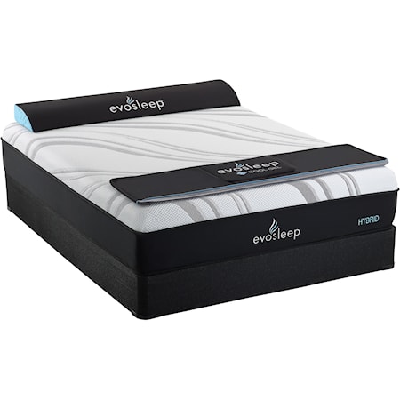 Queen 14" Plush Hybrid Mattress Set