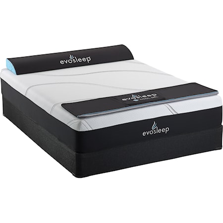 Queen 12" Gel Memory Foam Mattress Set