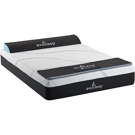 Queen 12" Gel Memory Foam Mattress