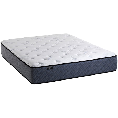 Queen Plush Encased Coil Matttress