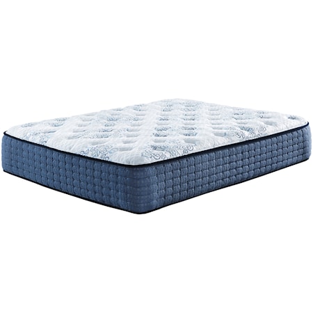 Cal King Plush Pocketed Coil Mattress and Better Head and Foot Adjustable Base