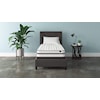 Sleep Shop Chime 10 Inch Hybrid Twin 10" Hybrid Mattress