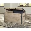 Signature Design by Ashley Dartland Storage Trunk