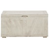 Signature Design by Ashley Ryker Storage Trunk