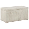 Signature Design by Ashley Ryker Storage Trunk