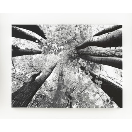 Ananya (Black/White) - Wall Art