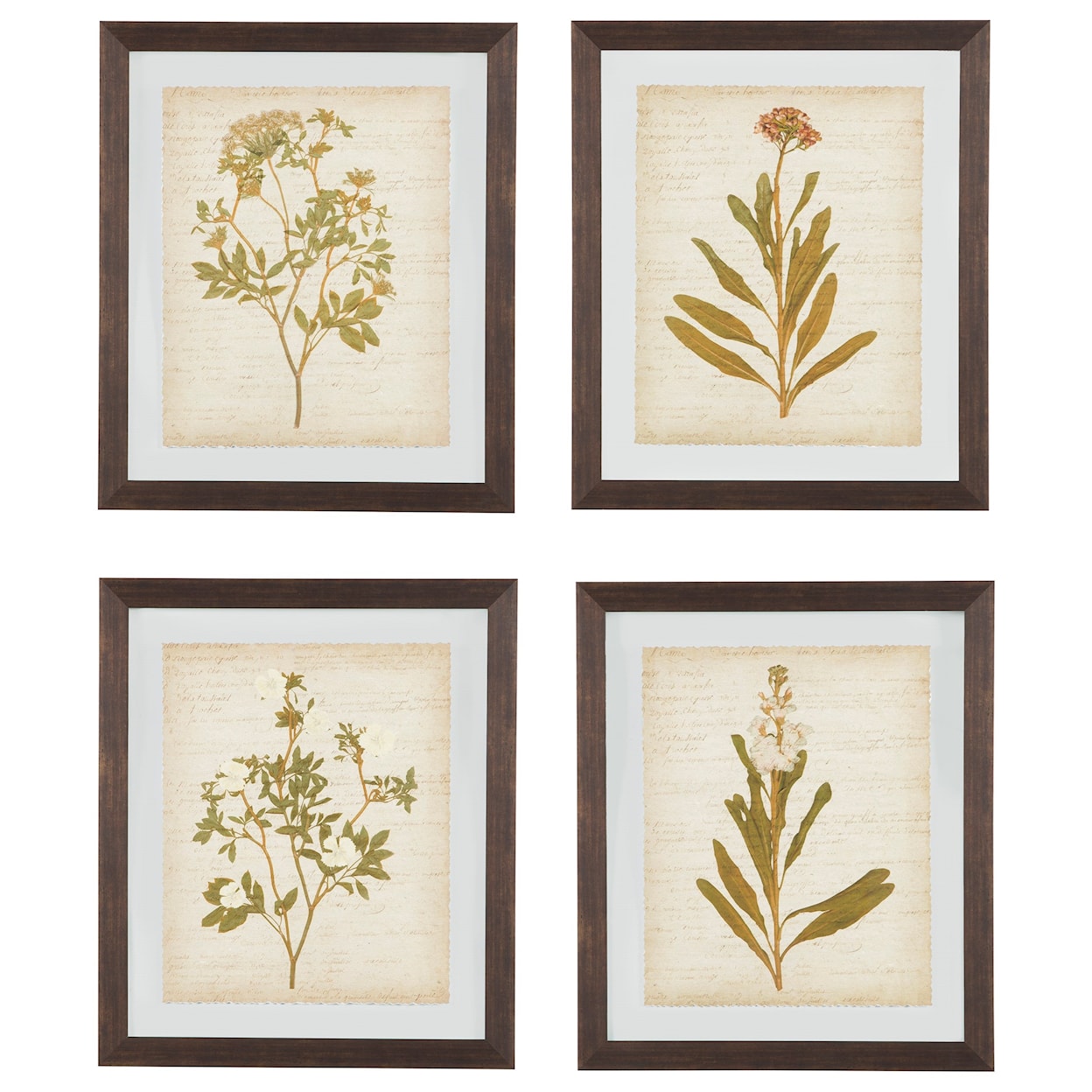 Signature Wall Art Dyani Wall Art Set