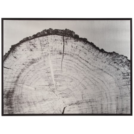 Dorika Black/Silver Finish Wall Art