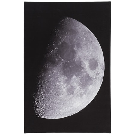 Draco Black/White Wall Art