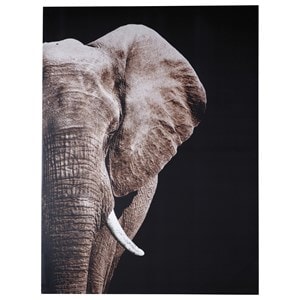 Wall Art Browse Page