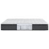 Beautyrest BRS900 Plush Twin 12" Pocketed Coil Mattress Set