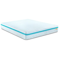 Twin 10" Medium Memory Foam Mattress