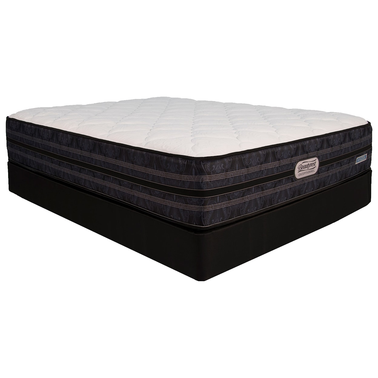 Beautyrest Canada BR Exceptionnel Caxton Firm Full Firm Coil on Coil Mattress Set