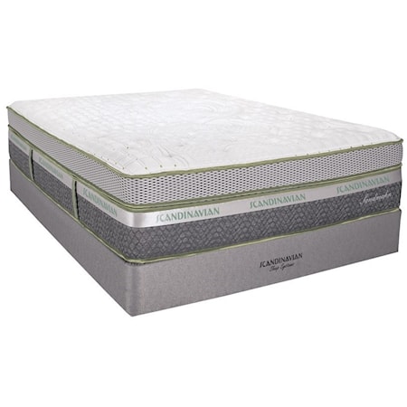 Queen 16 1/2" Plush Box Top Mattress Set