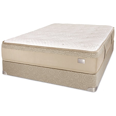 Queen Plush Pocketed Coil Mattress and Chattam and Wells Tan Foundation