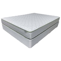Queen 8.5" Cushion Firm Tight Top Mattress and Standard Foundation