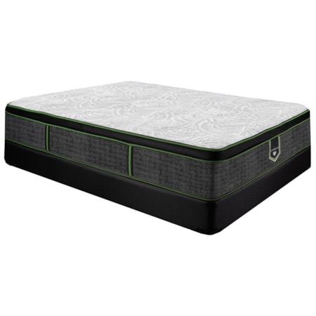 Twin XL 14 1/2" Plush Euro Top LP Set