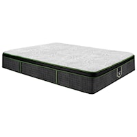 Queen 14 1/2" Plush Euro Top Hybrid Mattress and Low Profile Wireless Multi Function Adjustable Base