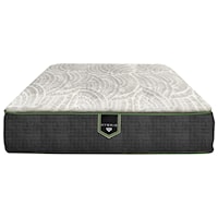 Twin 14 1/2" Luxury Firm Hybrid Mattress and Low Profile Wireless Non Wallhugger Adjustable Base