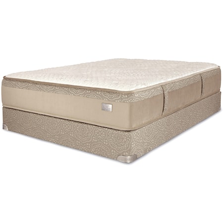 Twin XL 13" Firm Luxury Mattress Set