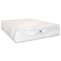 Twin 12" Hybrid Mattress