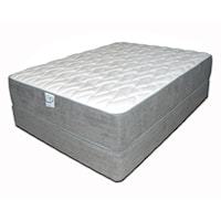 Twin Extra Long Plush 14" Mattress and Wood Eco Base Foundation