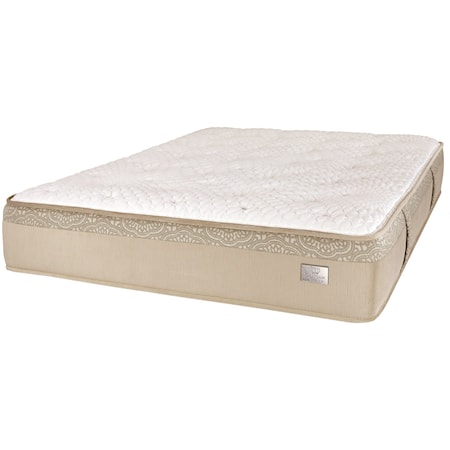 Queen Pocketed Coil Mattress