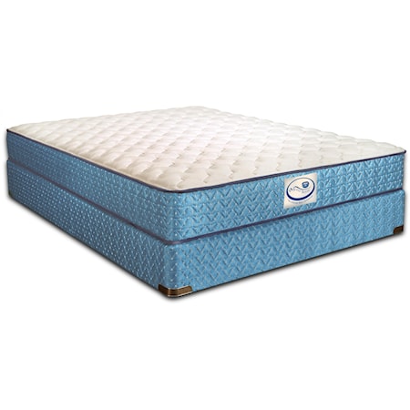 Queen Firm Mattress and Eco-Wood Base