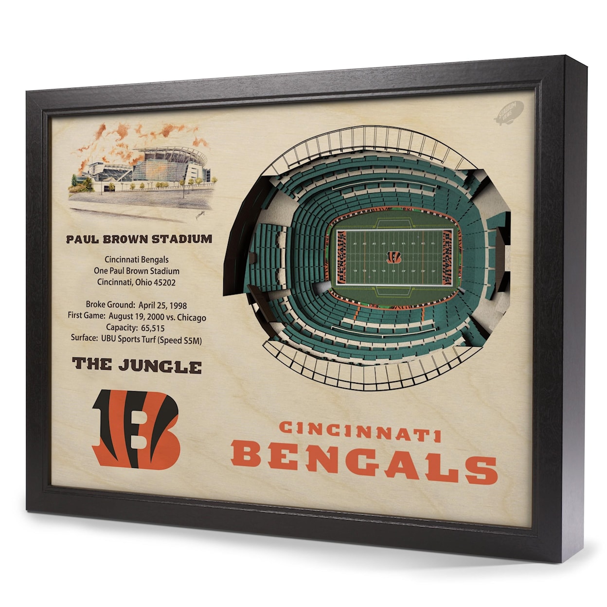 StadiumViews Wall Art CINCINNATI BENGALS STADIUMVIEW 3D WALL ART -