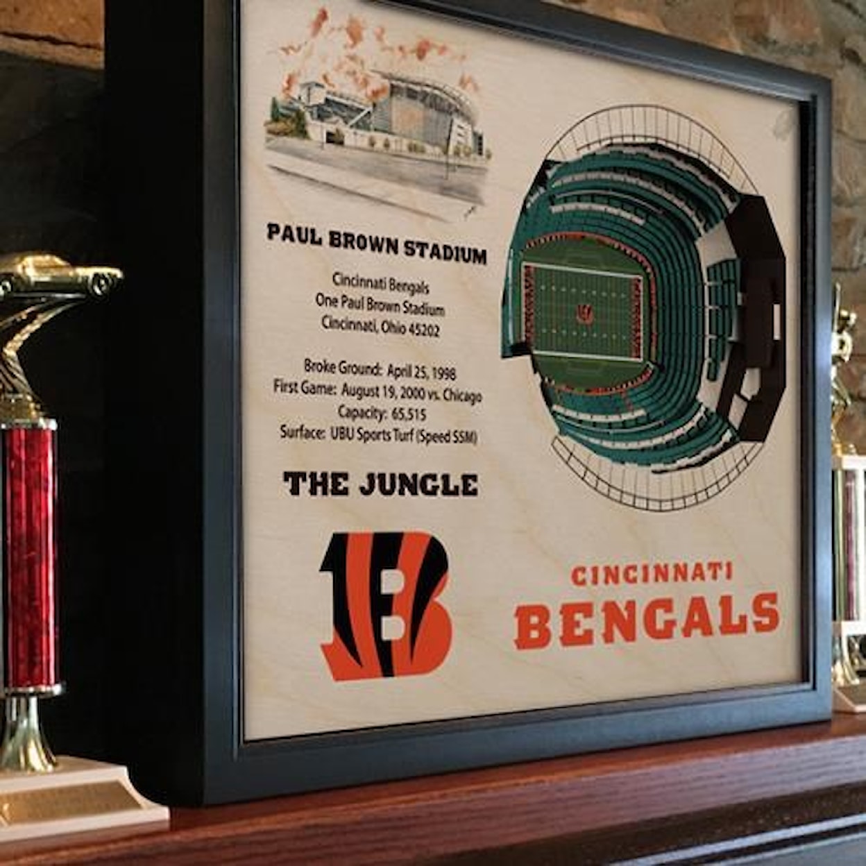 StadiumViews Wall Art CINCINNATI BENGALS STADIUMVIEW 3D WALL ART -