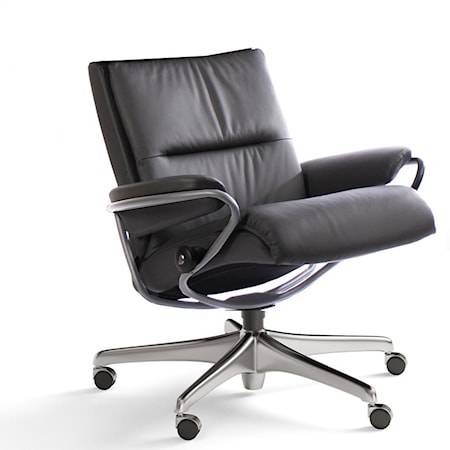 Low Back Office Chair with Star Base