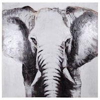 Square Canvas Print of Elephant