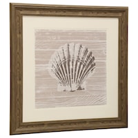 Seashell Print Framed Under Glass