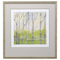 Birch Trees in Spring