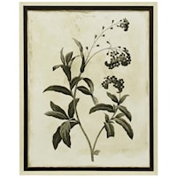 Floral Earthtone II Botanical Print