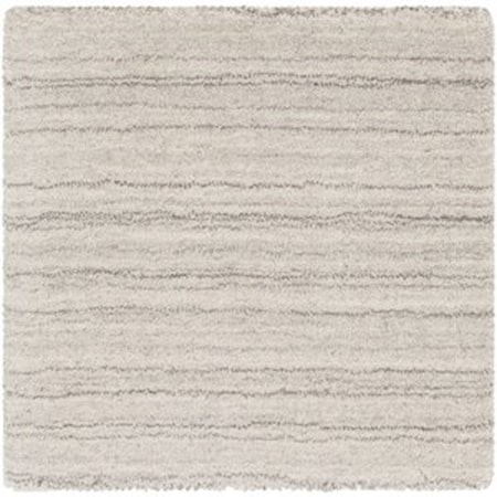 2' x 3' Rug