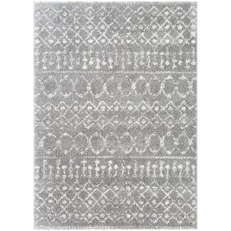 2' x 3' Rug