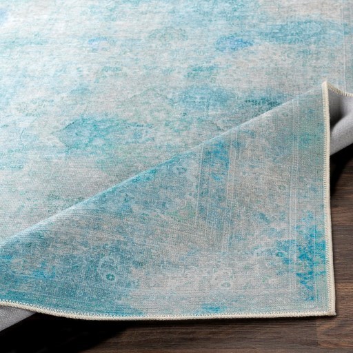 Surya Amelie 2' x 2'11" Rug