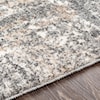 Surya Andorra 2' x 3' Rug