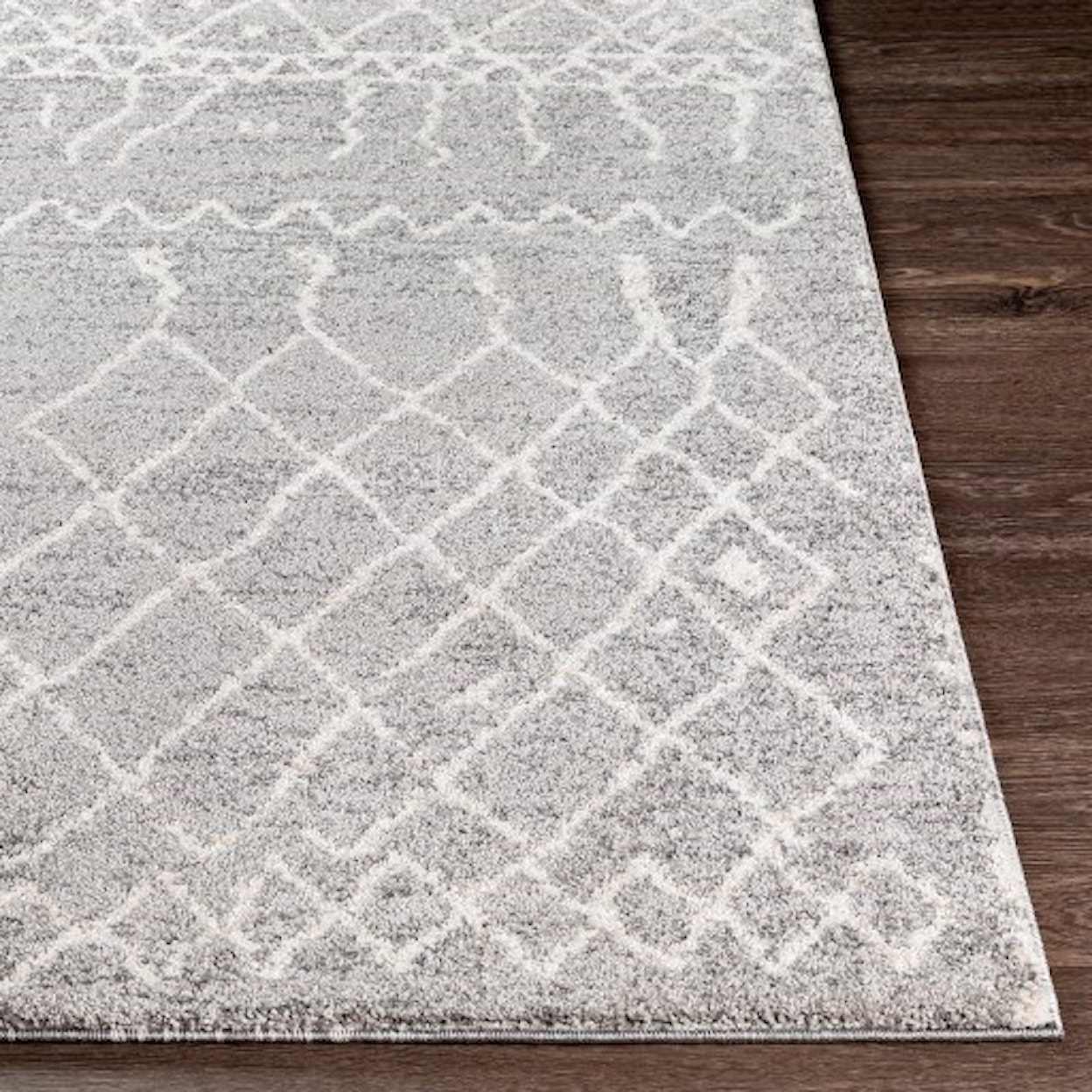 Surya Andorra 2' x 3' Rug