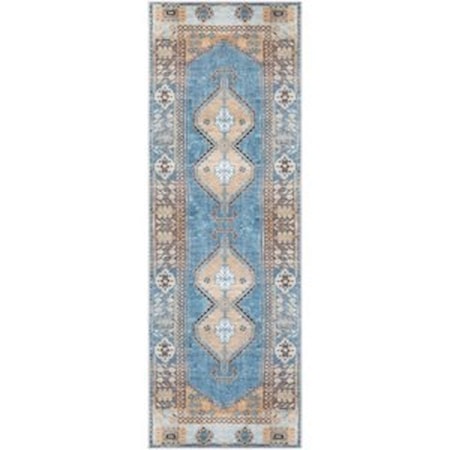 2'7" x 7'3" Rug