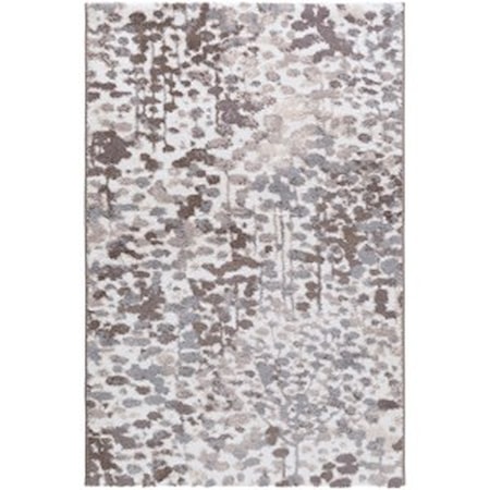 2' x 3' Rug